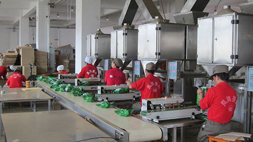 三位一體 管理模式 助推茶葉產(chǎn)業(yè)精準(zhǔn)扶貧