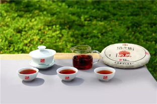 2017年福元昌圓茶正式上市